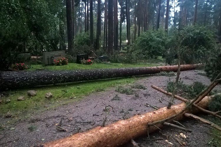 Hautausmaa_myrsky2_L.jpg