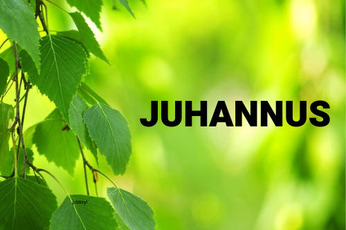 Juhannus on keskikesän juhla.