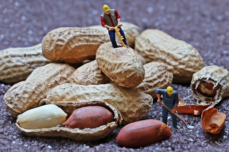 Yhteiskuntatyön virikekuva - miniatyyrityömiehet poraamassa rikki maapähkinöitä.