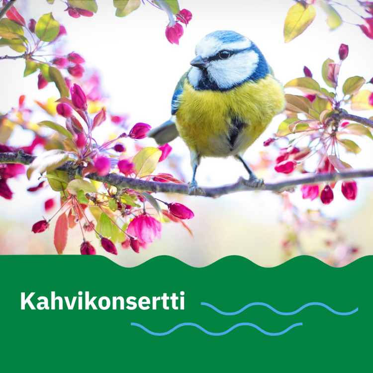 Keväinen kahvikonsertti kahvikonsertti