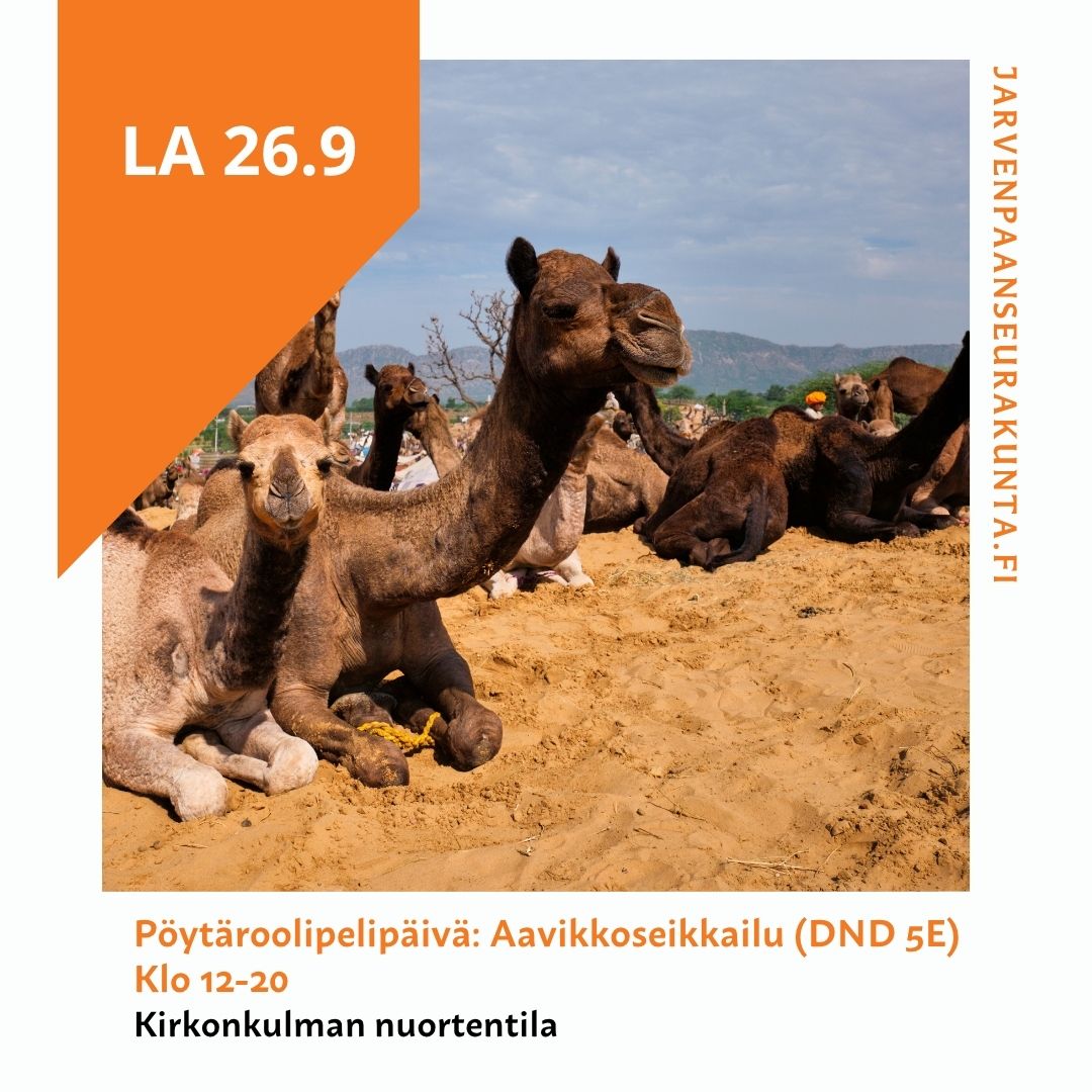 Aavikkoseikkailu