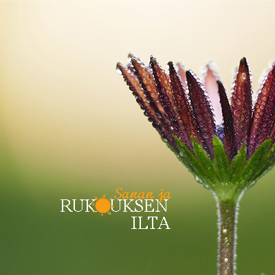 sanan rukouksen ilta logo